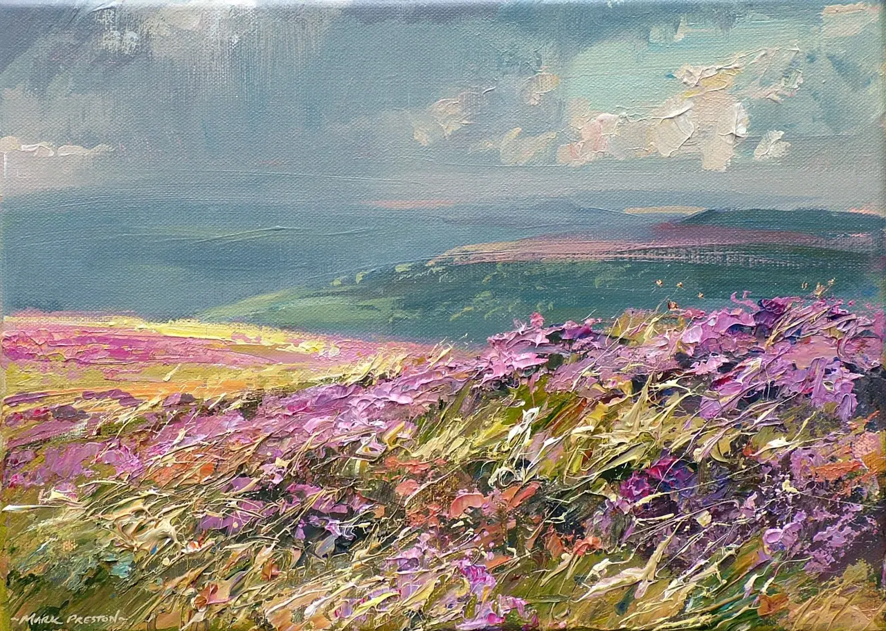 Mark Preston - sunshine and showers, beeley moor